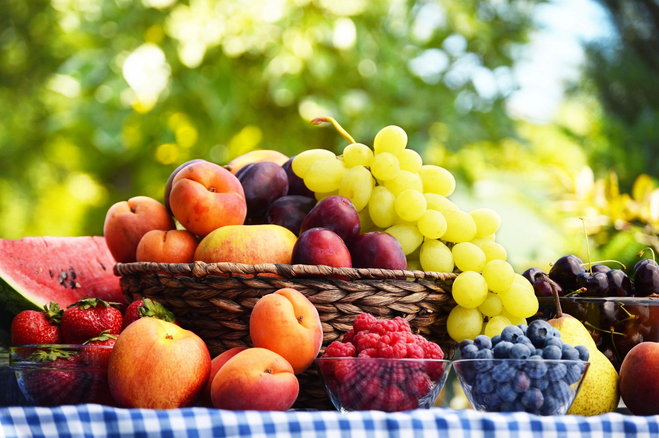 Fruit Fly Infestation? Call a Pest Control Expert to Get Rid of Fruit Flies Fast