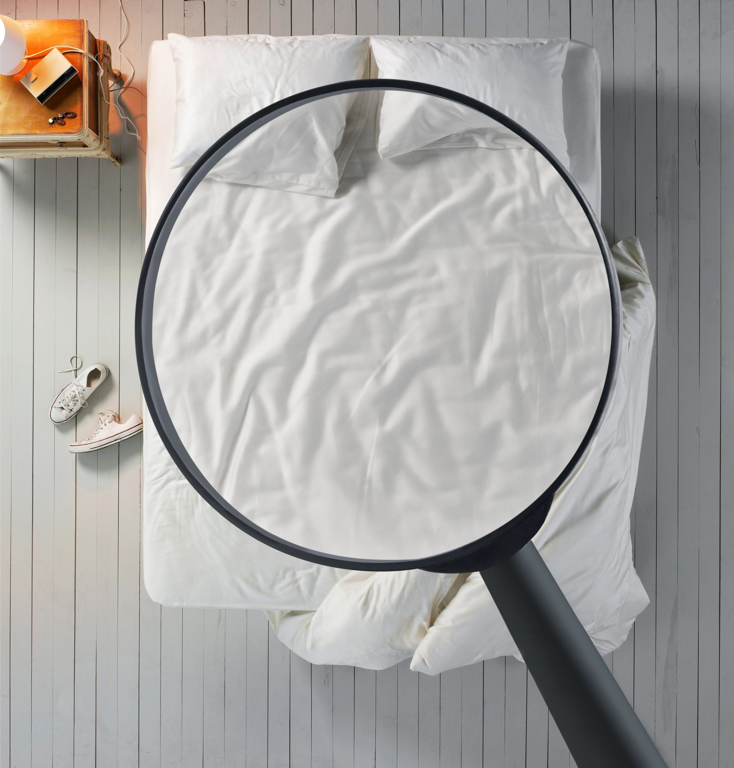 Don't Bring Bed Bugs Back With You!