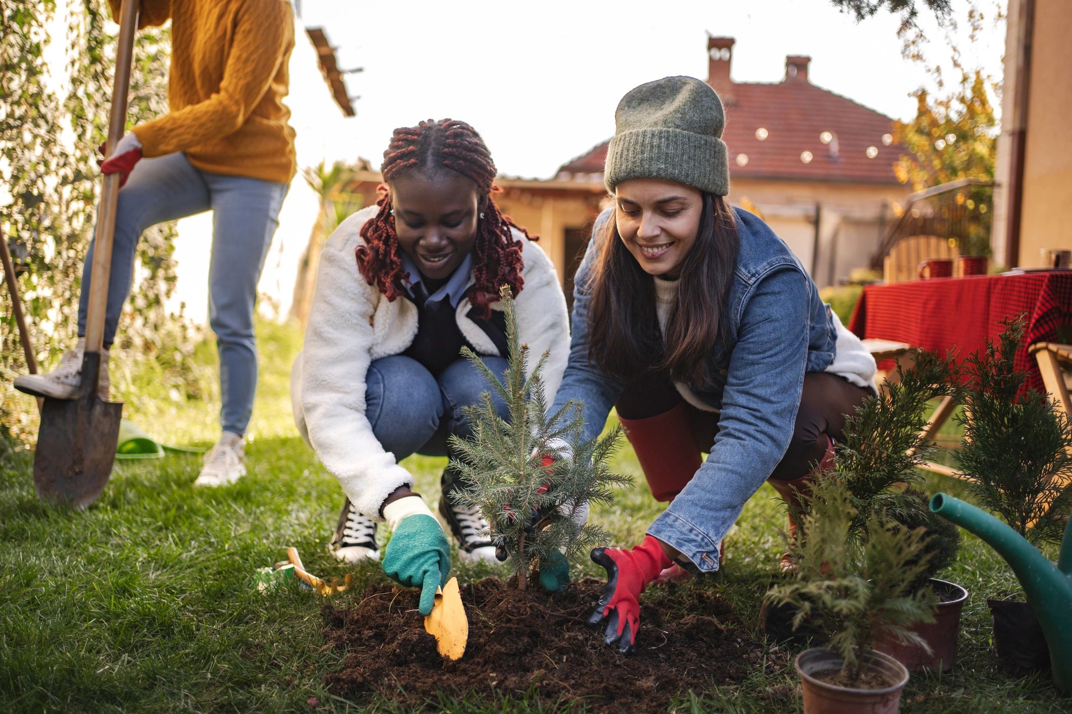 Companion Plants for Zone 5B Gardens