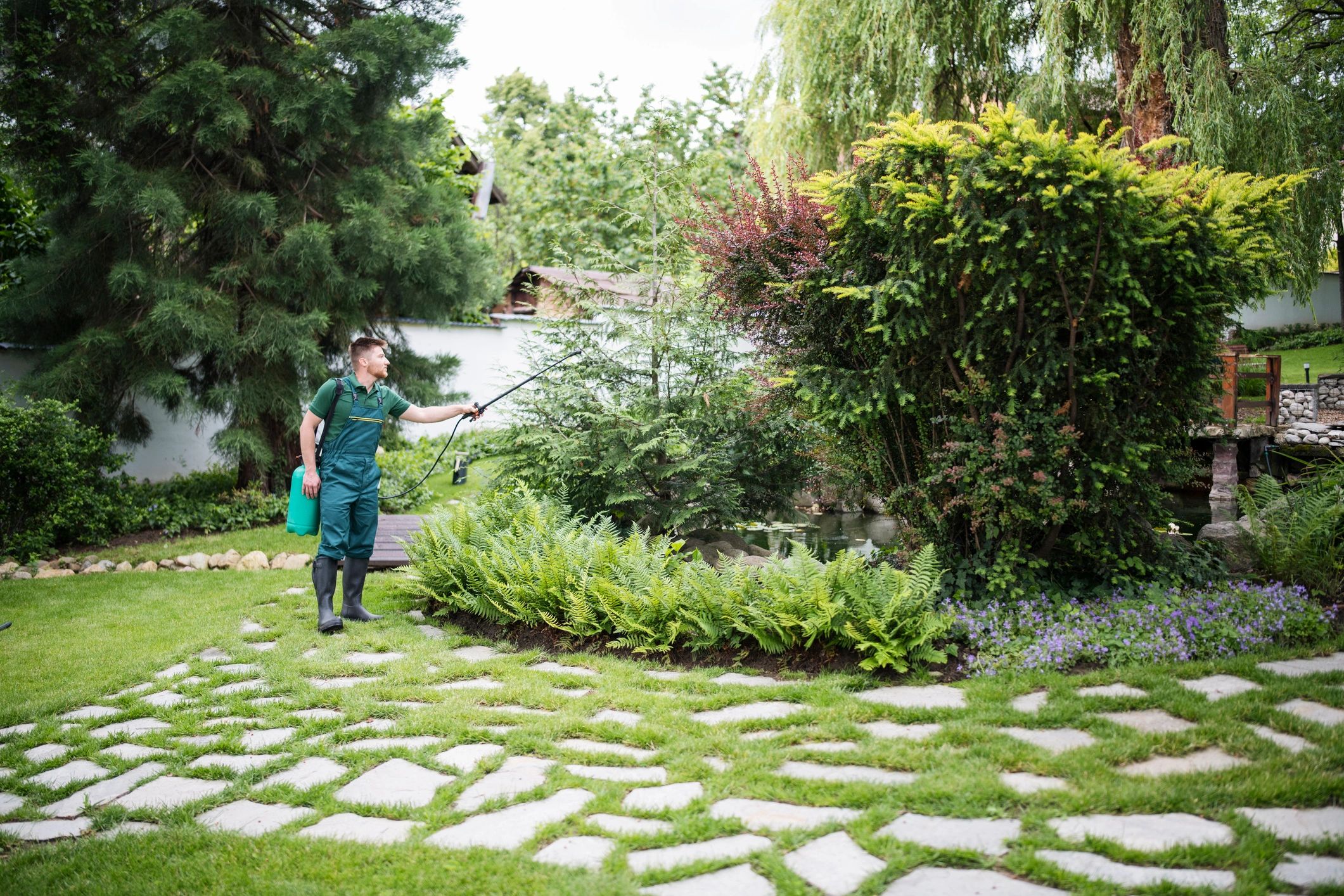 Spring Pest Control Tips