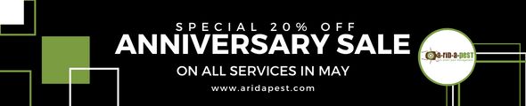 Celebrating Our 20th Anniversary